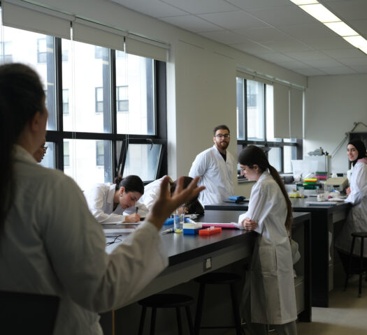 laboratoire