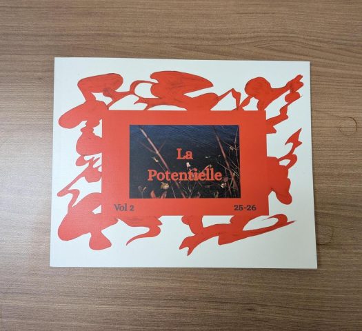 Media 13